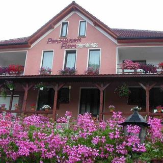 Pensiunea Flori Vaţa de Jos (4)