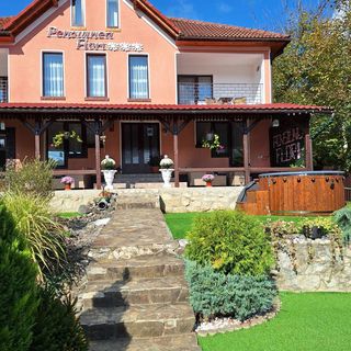 Pensiunea Flori Vaţa de Jos (5)