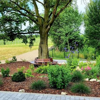 Winnica NOVI Apartamenty (5)