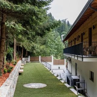 Hotel Ina Borșa (3)