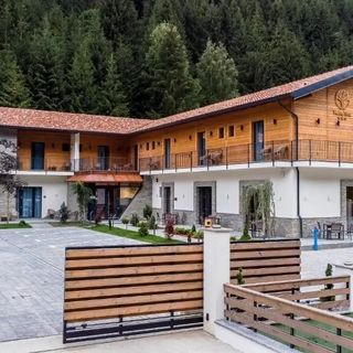 Hotel Ina Borșa (4)