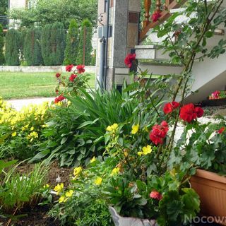 Dom Wczasowy Kazik Maniowy II (4)