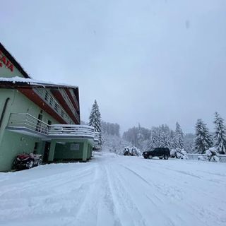 Vila Straja Lupeni (2)