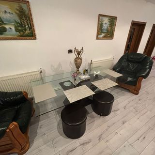 Villa Sara Târgu Jiu (5)