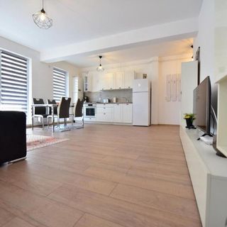 Lulu Apartment Şelimbăr (3)