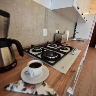 Lulu Apartment Şelimbăr (5)