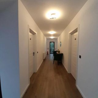 Pensiunea Turc Vişeu de Jos (4)