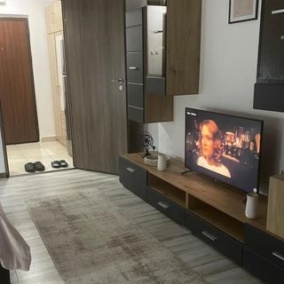 Luxury Central Studio Hunedoara (5)