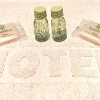 Apartament Nicolaus Toruń (2)