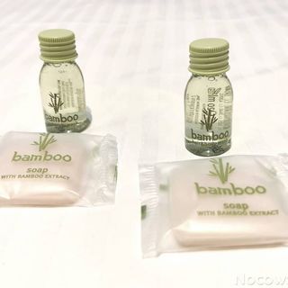 Apartament Nicolaus Toruń (3)