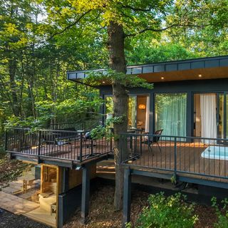 Lombkabin Vendégház Kismaros (3)