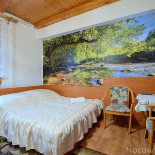 Pokoje Gościnne w Centrum Szczyrk (3)