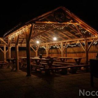 Leśna Odnowa Borków, Kielce (5)