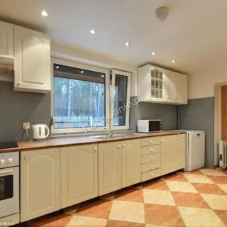 Leśna Odnowa Borków, Kielce (3)