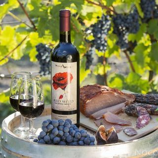 Winnica Avra Szydłów (5)