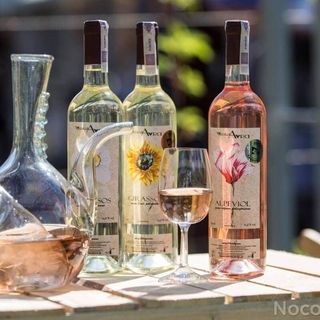 Winnica Avra Szydłów (3)