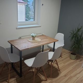  Apartament Skalny Domek Krościenko nad Dunajcem  (5)