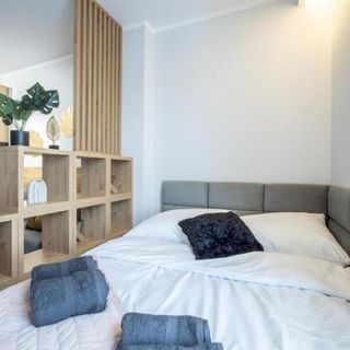 WiguryTower Apartaments 101 (2)