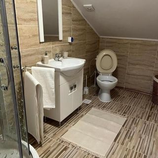 BSG Villa - Sinaia (3)