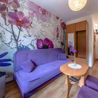 Palenica Pokoje Gościnne Szczawnica (3)