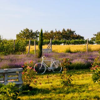 Mediterrán Birtok Tevel (2)