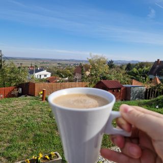 Baráti Vendégház Győrújbarát (4)