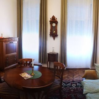 Weisz Castle style Apartment Carei (5)