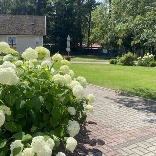 Mazury Domki nad jeziorem Ruciane Tarasy Ruciane Nida (4)