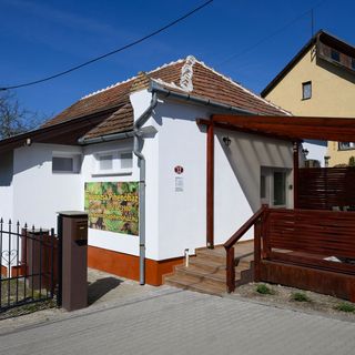 Kövirózsa Pihenőház Demjén (3)