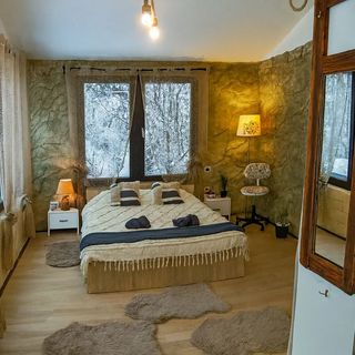 Forest Hide Tiny House Covasna (2)