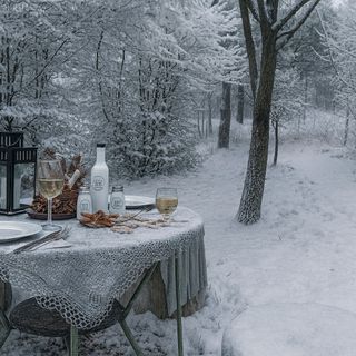 Forest Hide Tiny House Covasna (3)
