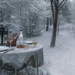 Forest Hide Tiny House Covasna (3)