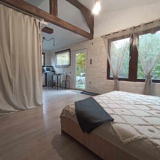 Forest Hide Tiny House Covasna (5)