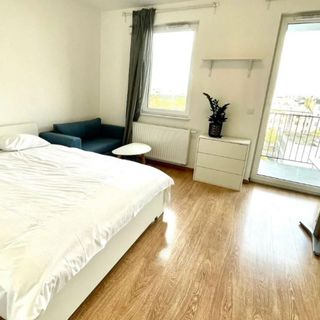 Studio Praga Wrzesińska 47 (4)