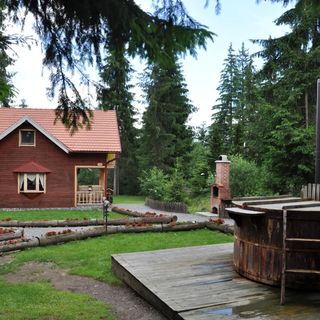 Pensiunea Ozon Turist din Ciumani (2)