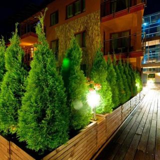 Willa 4 Żywioły BlueApart Jurata (4)