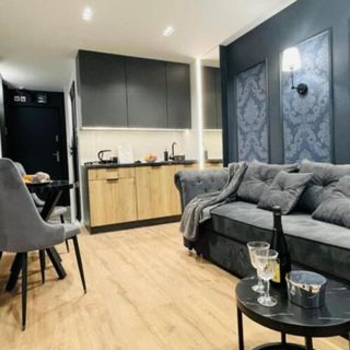 Apartment CTS Czarna Perła Ustroń (4)