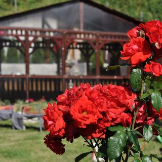 Vila Maria din Azuga (4)