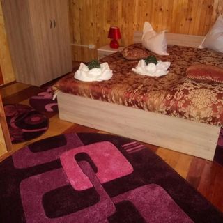 Pensiunea Alexandra & Diego Predeal (4)