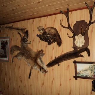 Pensiunea Alexandra & Diego Predeal (5)