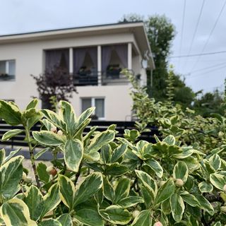 Fanny Villa Tiszakécske (2)