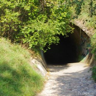 Super domki w zaciszu Chłapowo (4)