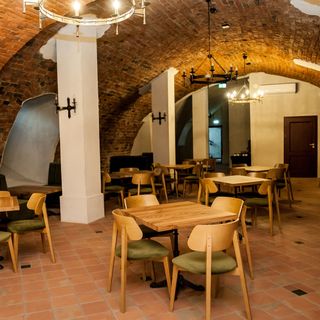 Zamek Piastowski (2)