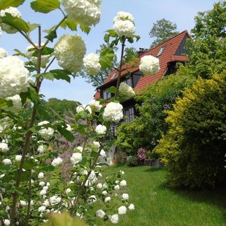 VILLA - BAJKA Wisła  (4)