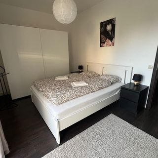 Monika's Apartman Érd (2)