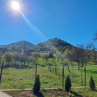 Casa Darvic Căraci (2)