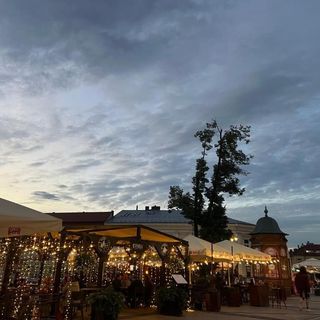 Family & Business Elegant Apartments Ventus IX Wieków Kielce (5)