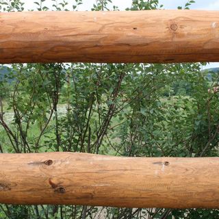 Pensiunea Daniela Orăștioara de Jos (3)