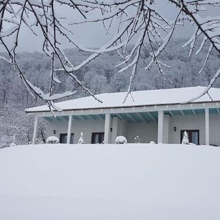 Cristelyn Residence Bran (2)