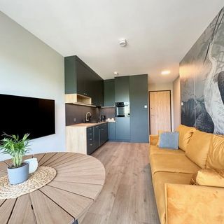 Apartament Ciri by Q4Apartments (5)